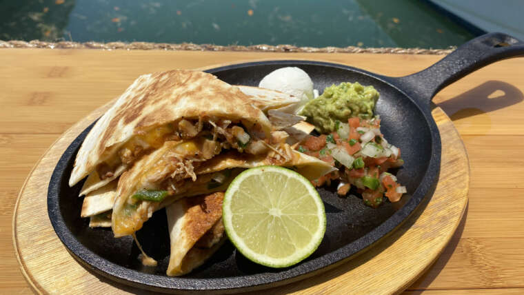 Chicken Quesadilla