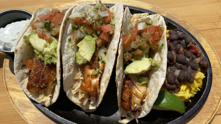 Mahi Fish Tacos